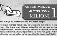 Ndege Mdogo Aliyeuzwa Milioni 1