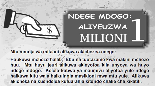 Ndege Mdogo Aliyeuzwa Milioni 1