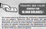 PÁSSARO SEM VALOR– VENDIDO POR 10.000 DÓLARES