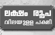 ലക്ഷം രൂപ വിലയുള്ള പക്ഷി (Worthless Bird)